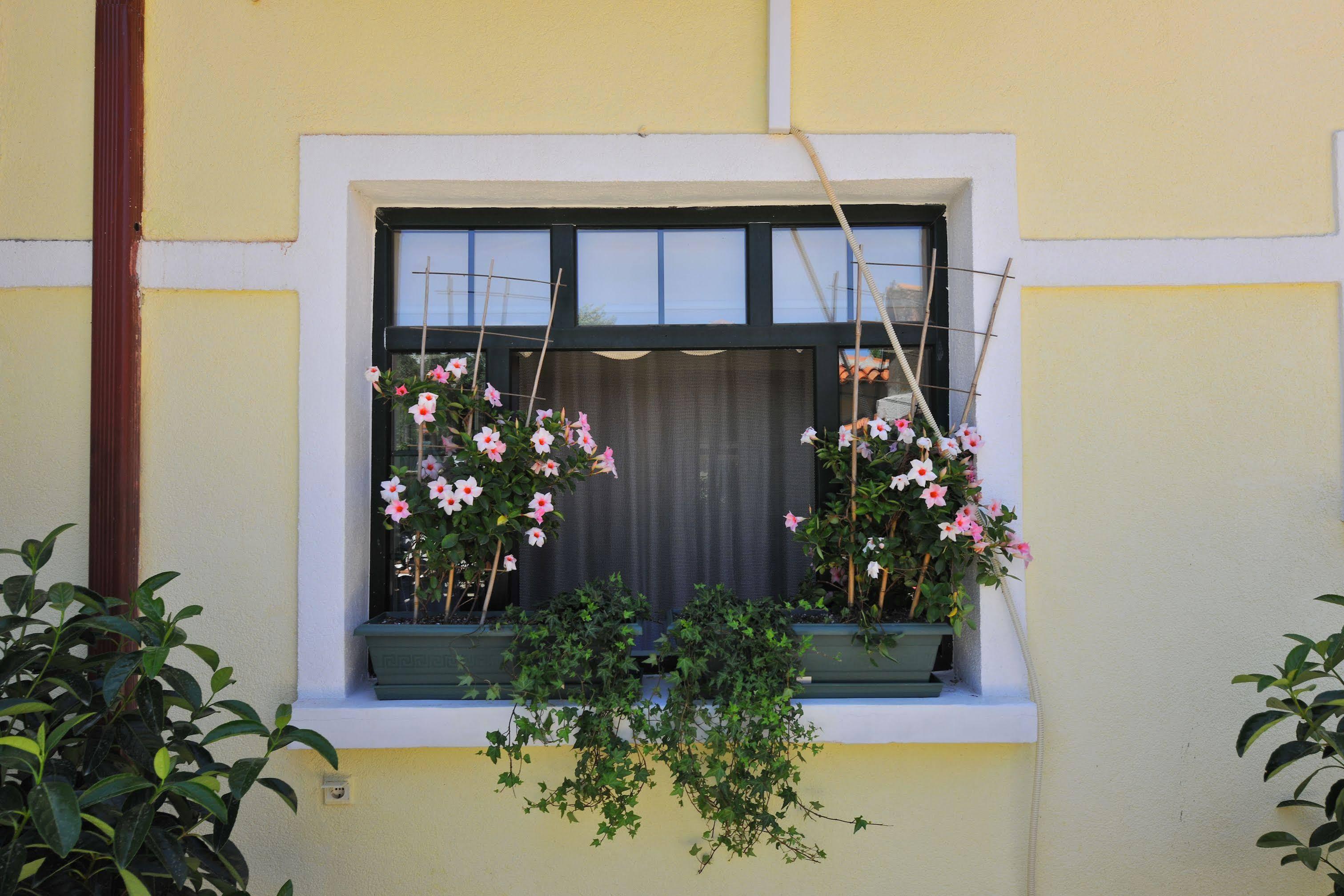 Petrino Goekceada Hotel&Kitchen İmroz Exterior foto